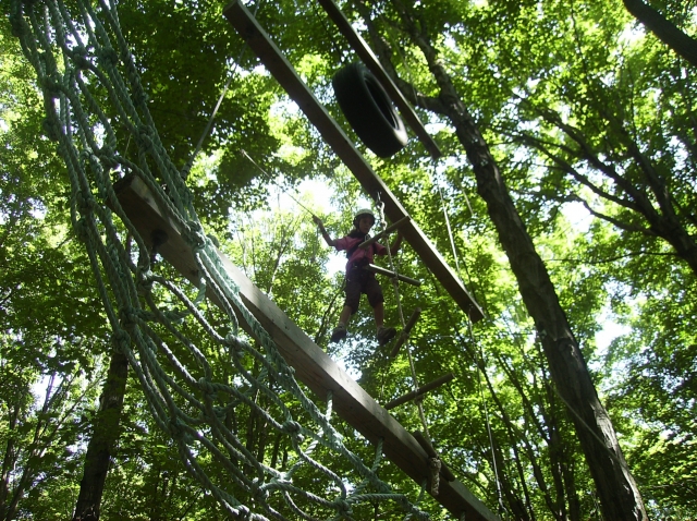 Circuito de arborismo